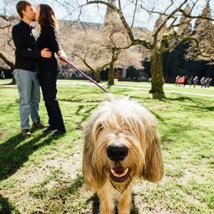 Meet your Posher, Cindy